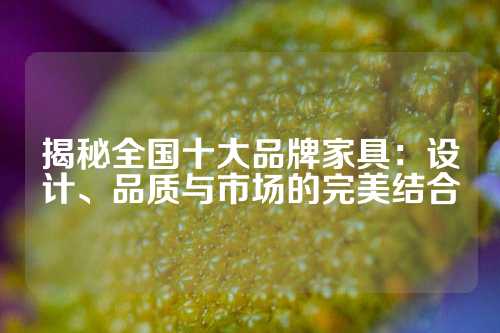 揭秘全国十大品牌家具：设计、品质与市场的完美结合