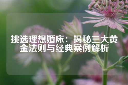 挑选理想婚床：揭秘三大黄金法则与经典案例解析