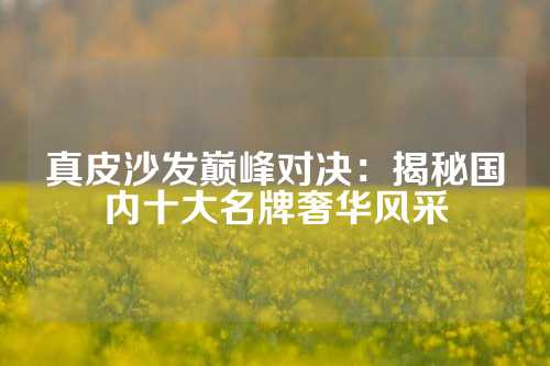 真皮沙发巅峰对决：揭秘国内十大名牌奢华风采