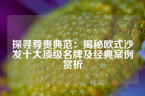 探寻尊贵典范：揭秘欧式沙发十大顶级名牌及经典案例赏析