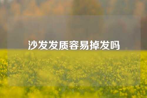 沙发发质容易掉发吗