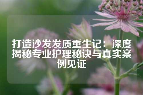 打造沙发发质重生记：深度揭秘专业护理秘诀与真实案例见证