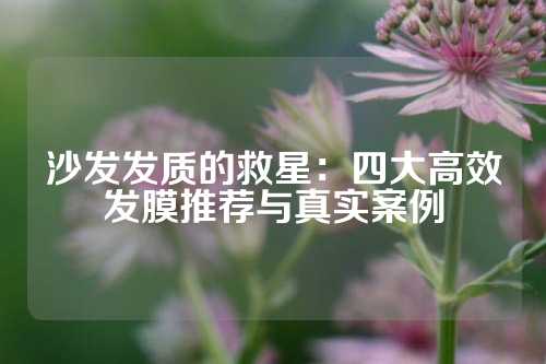 沙发发质的救星：四大高效发膜推荐与真实案例