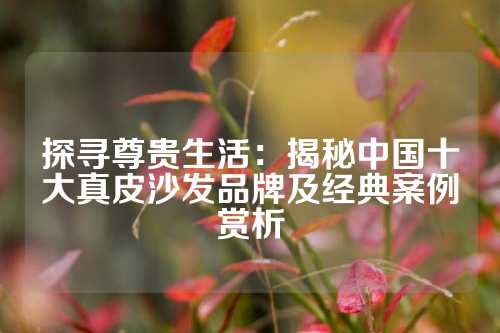 探寻尊贵生活：揭秘中国十大真皮沙发品牌及经典案例赏析