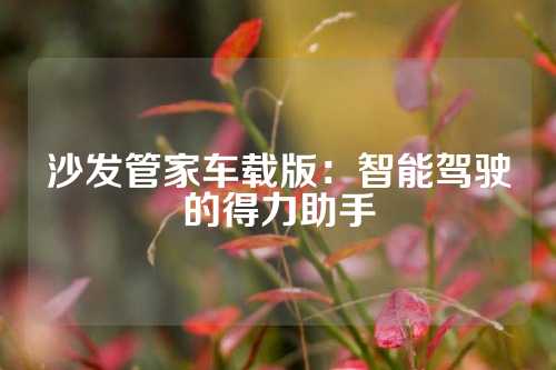 沙发管家车载版：智能驾驶的得力助手