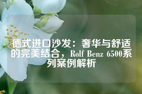 德式进口沙发：奢华与舒适的完美结合，Rolf Benz 6500系列案例解析
