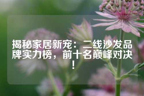 揭秘家居新宠:二线沙发品牌实力榜,前十名巅峰对决!