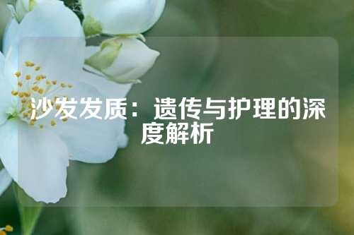 沙发发质：遗传与护理的深度解析