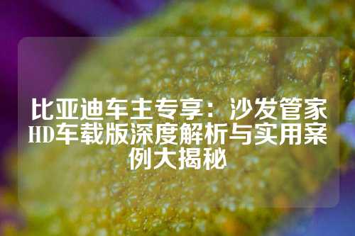 比亚迪车主专享：沙发管家HD车载版深度解析与实用案例大揭秘