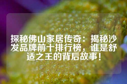 探秘佛山家居传奇：揭秘沙发品牌前十排行榜，谁是舒适之王的背后故事！