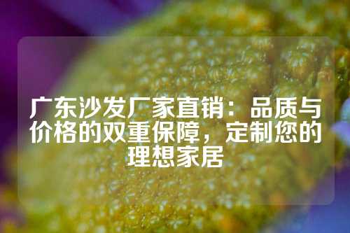 广东沙发厂家直销：品质与价格的双重保障，定制您的理想家居
