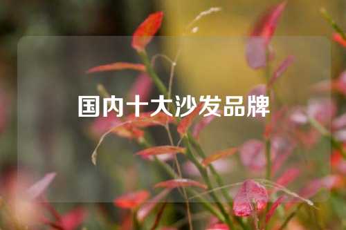 国内十大沙发品牌