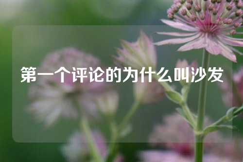 第一个评论的为什么叫沙发