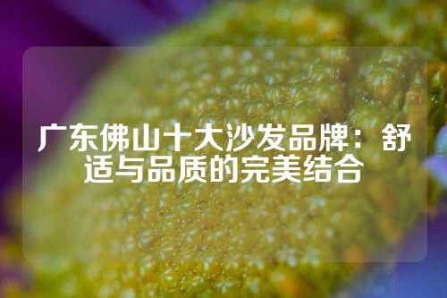 广东佛山十大沙发品牌：舒适与品质的完美结合