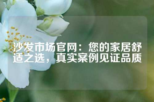 沙发市场官网：您的家居舒适之选，真实案例见证品质