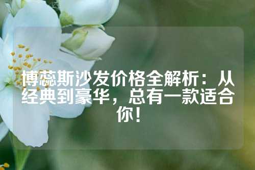 博蕊斯沙发价格全解析：从经典到豪华，总有一款适合你！