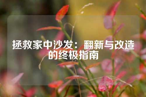 拯救家中沙发：翻新与改造的终极指南