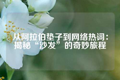 从阿拉伯垫子到网络热词：揭秘“沙发”的奇妙旅程