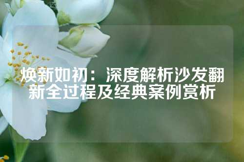 焕新如初：深度解析沙发翻新全过程及经典案例赏析