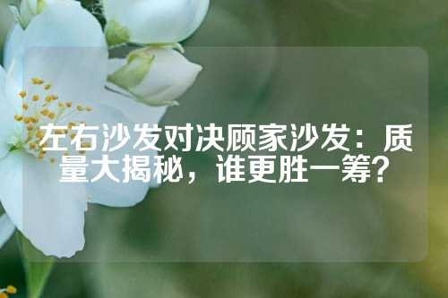 左右沙发对决顾家沙发：质量大揭秘，谁更胜一筹？