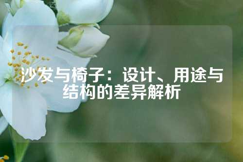 沙发与椅子：设计、用途与结构的差异解析