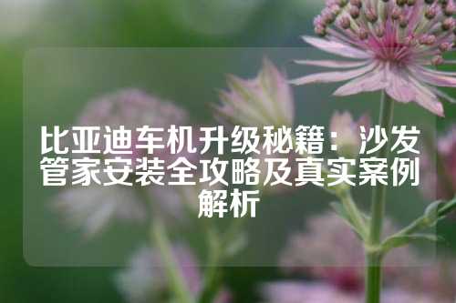 比亚迪车机升级秘籍：沙发管家安装全攻略及真实案例解析