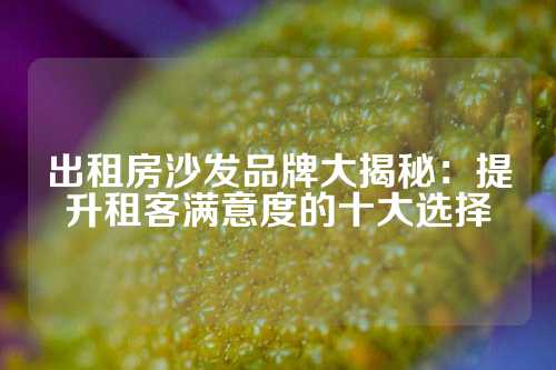 出租房沙发品牌大揭秘：提升租客满意度的十大选择