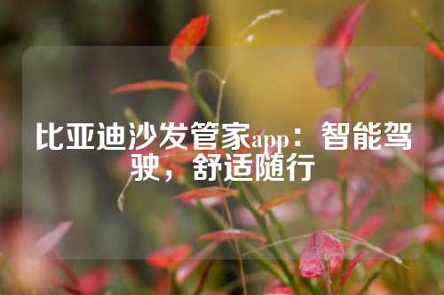比亚迪沙发管家app：智能驾驶，舒适随行