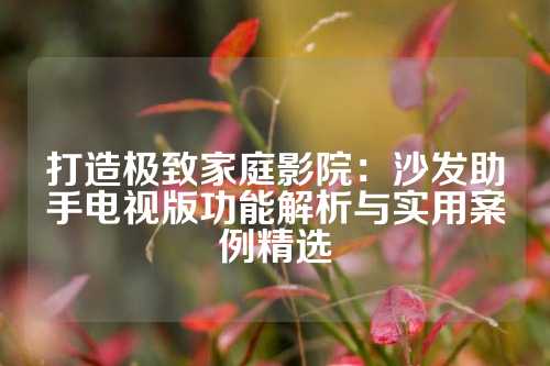打造极致家庭影院：沙发助手电视版功能解析与实用案例精选
