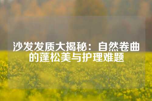 沙发发质大揭秘：自然卷曲的蓬松美与护理难题
