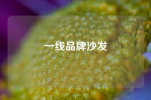 一线品牌沙发