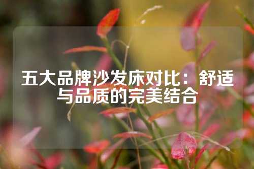 五大品牌沙发床对比：舒适与品质的完美结合