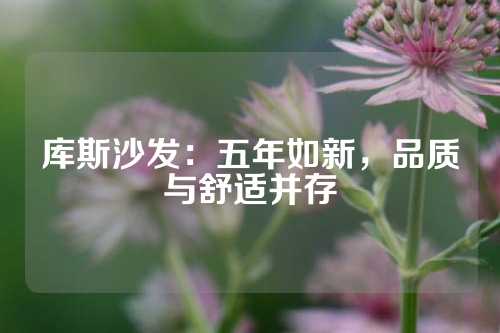 库斯沙发：五年如新，品质与舒适并存