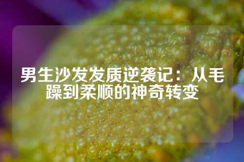 男生沙发发质逆袭记：从毛躁到柔顺的神奇转变