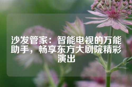 沙发管家：智能电视的万能助手，畅享东方大剧院精彩演出
