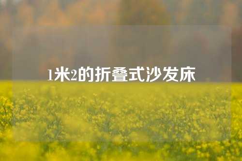 1米2的折叠式沙发床