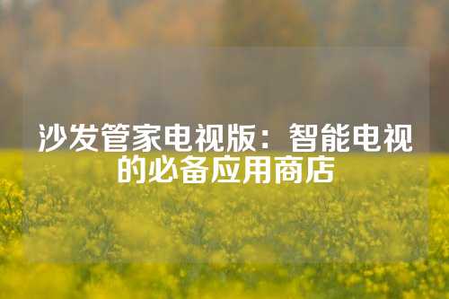 沙发管家电视版：智能电视的必备应用商店