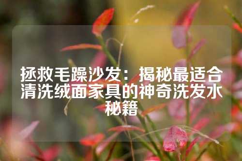 拯救毛躁沙发：揭秘最适合清洗绒面家具的神奇洗发水秘籍