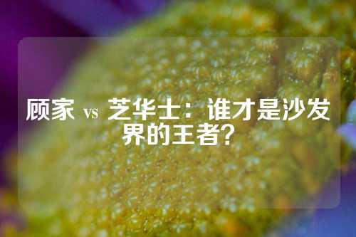 顾家 vs 芝华士：谁才是沙发界的王者？