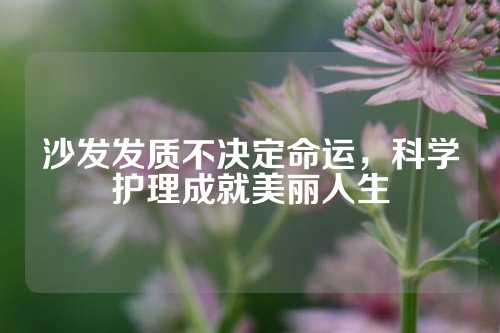 沙发发质不决定命运，科学护理成就美丽人生