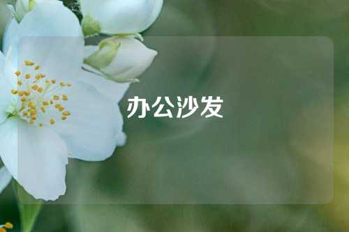 办公沙发