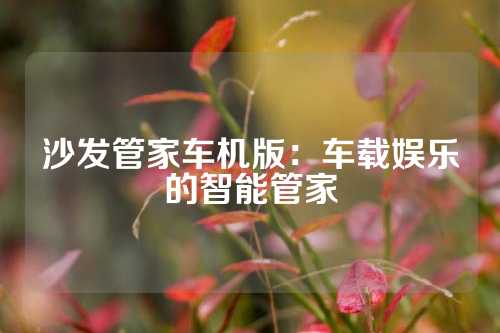 沙发管家车机版：车载娱乐的智能管家