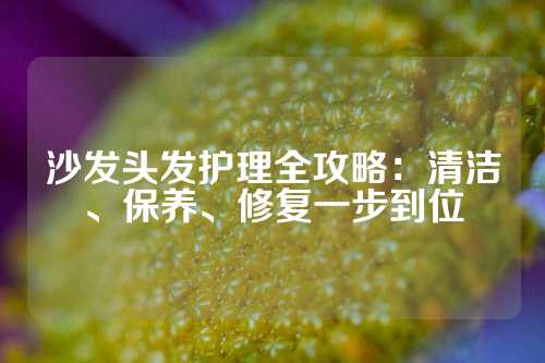 沙发头发护理全攻略：清洁、保养、修复一步到位