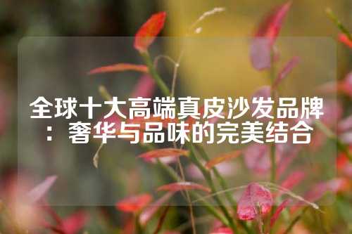 全球十大高端真皮沙发品牌：奢华与品味的完美结合