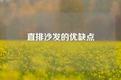 直排沙发的优缺点