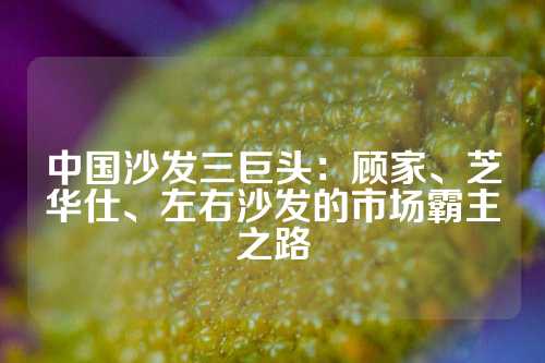 中国沙发三巨头：顾家、芝华仕、左右沙发的市场霸主之路