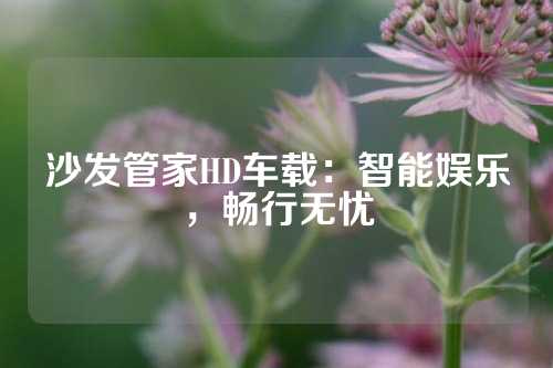 沙发管家HD车载：智能娱乐，畅行无忧