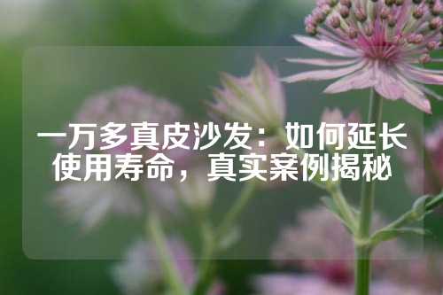 一万多真皮沙发：如何延长使用寿命，真实案例揭秘