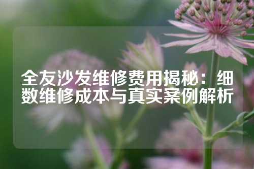 全友沙发维修费用揭秘：细数维修成本与真实案例解析