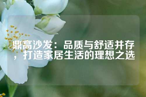 鼎高沙发：品质与舒适并存，打造家居生活的理想之选